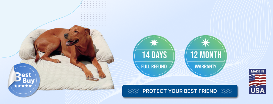 refund